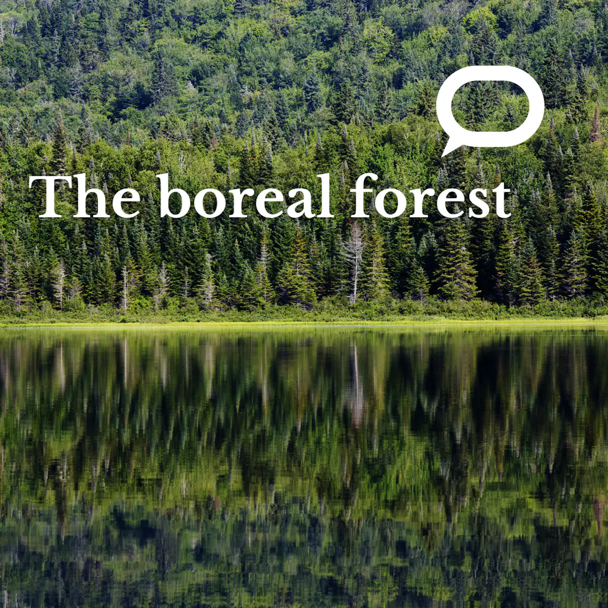 The invisible effects of human activity on nature
