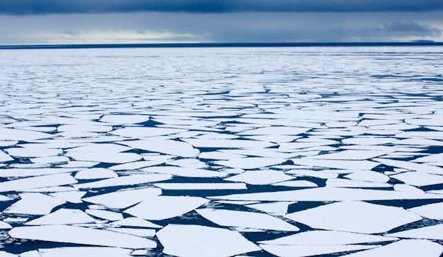 Floes of sea ice