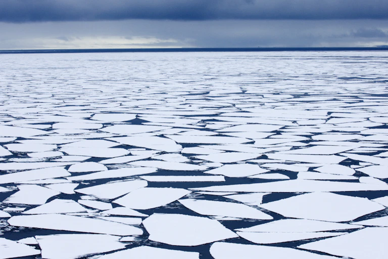 Floes of sea ice