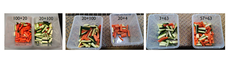 Each test of the experiment used different stimuli. Left to right: test 1, test 2, and test 3.