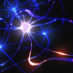 research topics on neuroplasticity