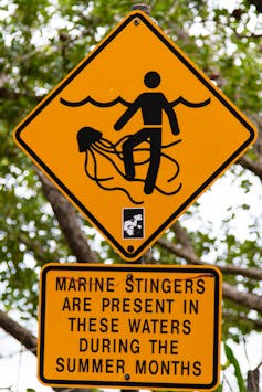 Warning sign for marine stingers