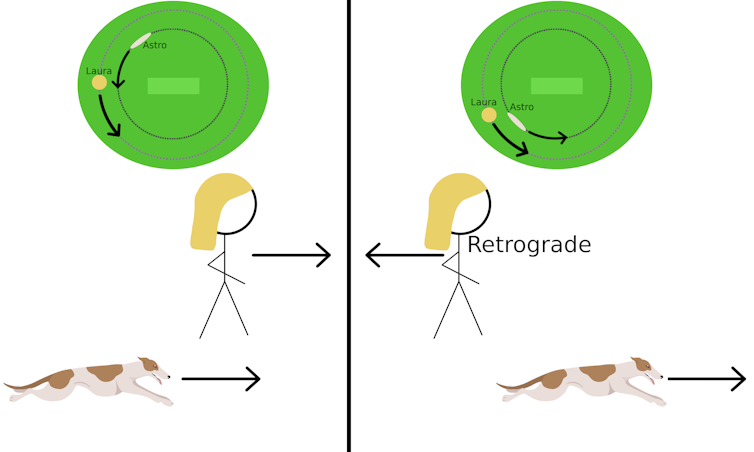 Artist's impression of retrograde motion from Astro the whippet's perspective.