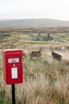 Uma caixa postal vermelha fica em um deserto de grama. Ao fundo, veados olham para a câmera em frente a uma ruína de pedra.