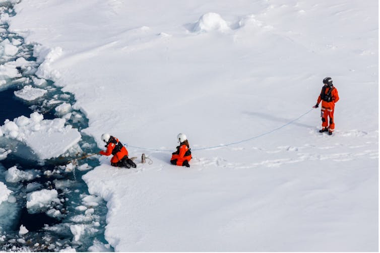 Three researchers on an Arctic ice floe sampling for ice algae.