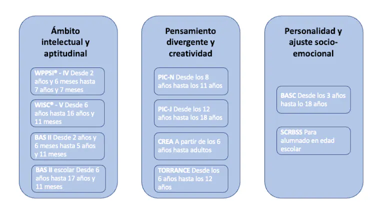 En el ámbito intelectual y aptitudinal, existen cuatro instrumentos: WPPSI, WISC, Bas II para escolares de infantil y BAS II para edades a partir de infantil; en el ámbito de la creatividad y el pensamiento divergente, está el Pic-N, el PIC-J, el CREA y TORRANCE; en el ámbito de la personalidad y ajuste emocional, el BASS y el SCRBBS.