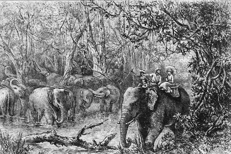 Illustration of a woman and a man on the back of an elephant.