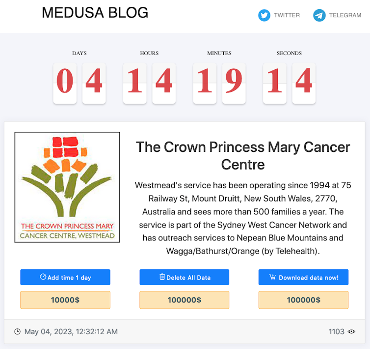 Screenshot of Medusa Blog from Dark Web Site