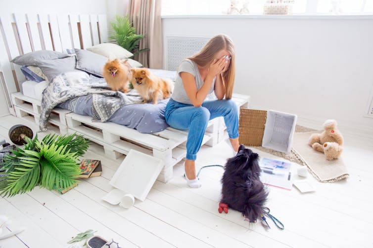 a woman sits on the edge of the bed with her head in her hands surrounded by a mess. a small dog seated in front of her is looking up at her