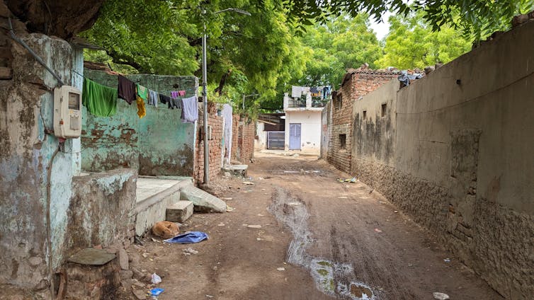 A dog sleeps in front of a house where residents have hung their washing on the front porch. The street is shaded by large trees.