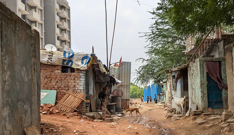 Apartment buildings in the background of an informal street with some houses demolished. A goat and dog stand in front of houses.