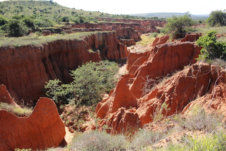 eroded gully