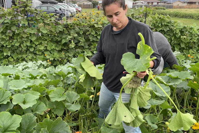 Une fermière dans un potager urbain