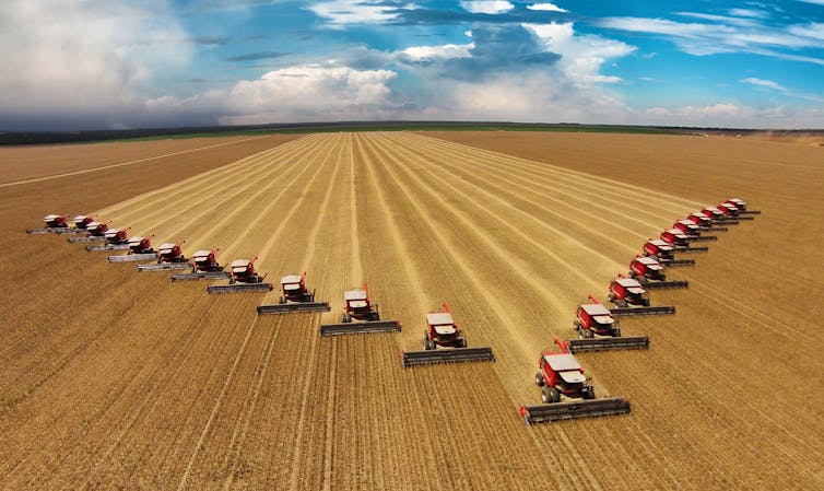 machines harvest soybean crop