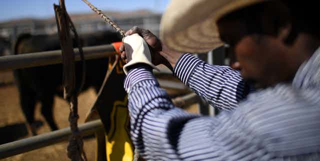 Edward Jupiter, a cattle station worker from Doomadgee, Queensland, prepares to compete in the junior bull ride event at the Mount Isa Mines Rodeo in Mount Isa, Queensland, August 9 2019.