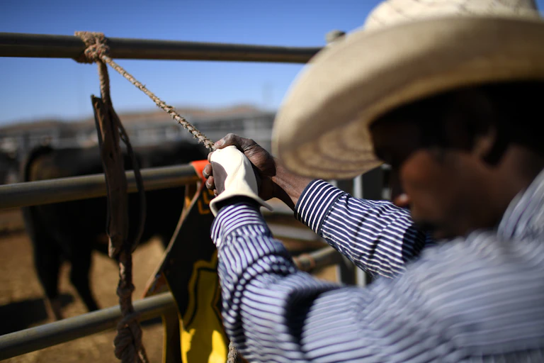 Edward Jupiter, a cattle station worker from Doomadgee, Queensland, prepares to compete in the junior bull ride event at the Mount Isa Mines Rodeo in Mount Isa, Queensland, August 9 2019.