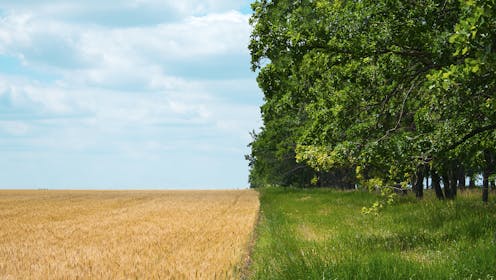 'Regenerative agriculture' is all the rage