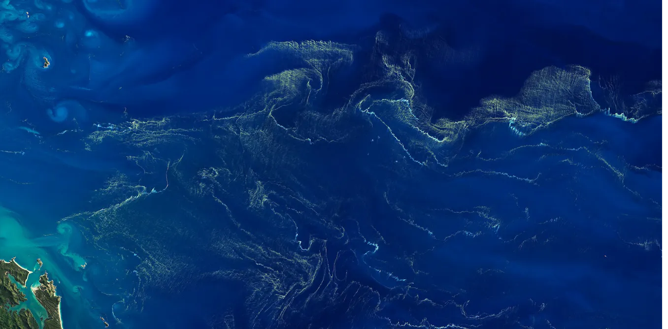 modelling micro-algae to better understand the workings of the ocean modelling micro-algae to better understand the workings of the ocean