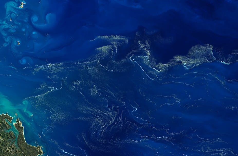 Aerial view of an ocean. The sea is scattered with multiple green filaments.