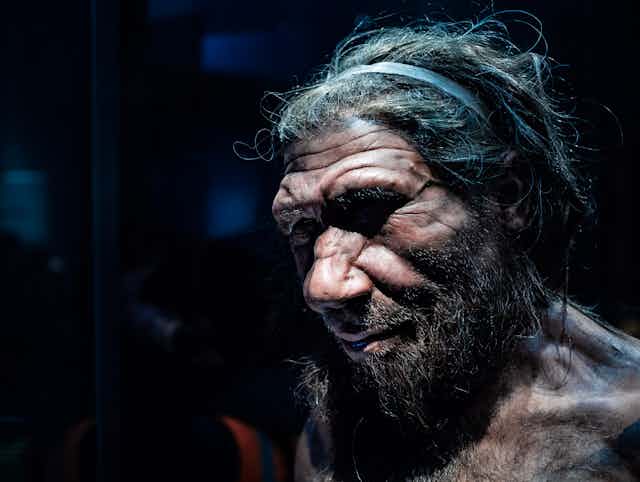 Reconstruction of a Neanderthal