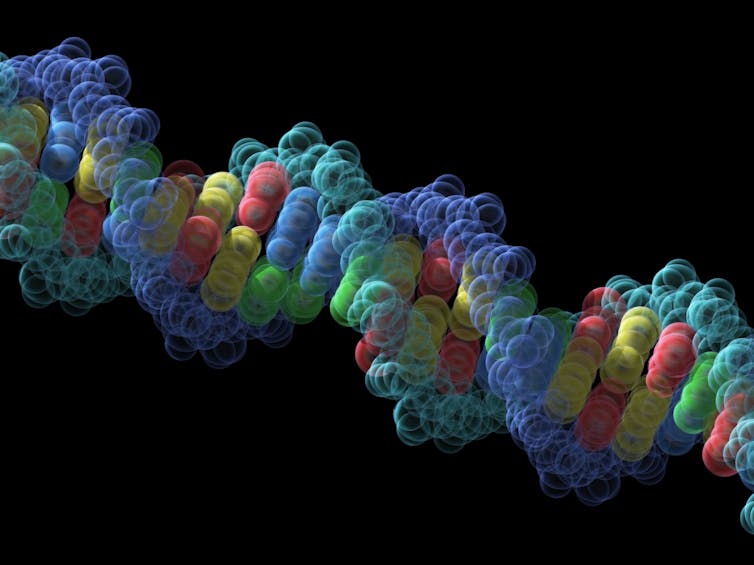 Quantum physics proposes a new way to study biology – and the results could revolutionize our understanding of how life works