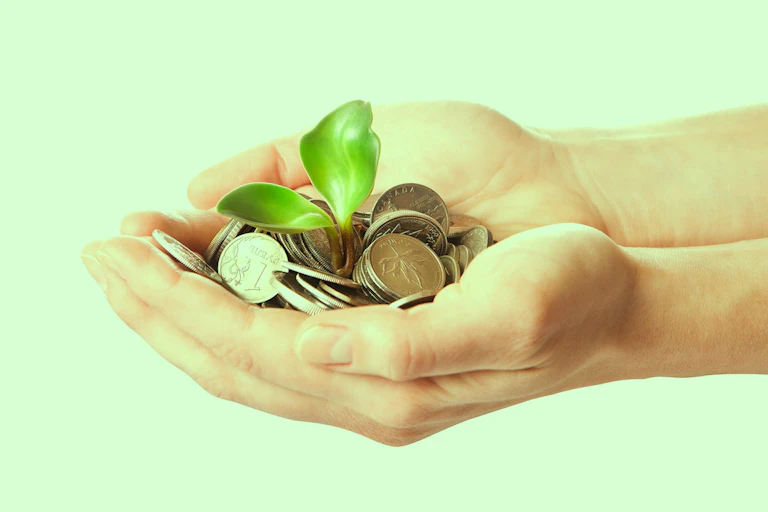 An example of impact investment.