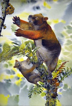A colourful drawing of a bear like animal and its young in a flowering tree branch