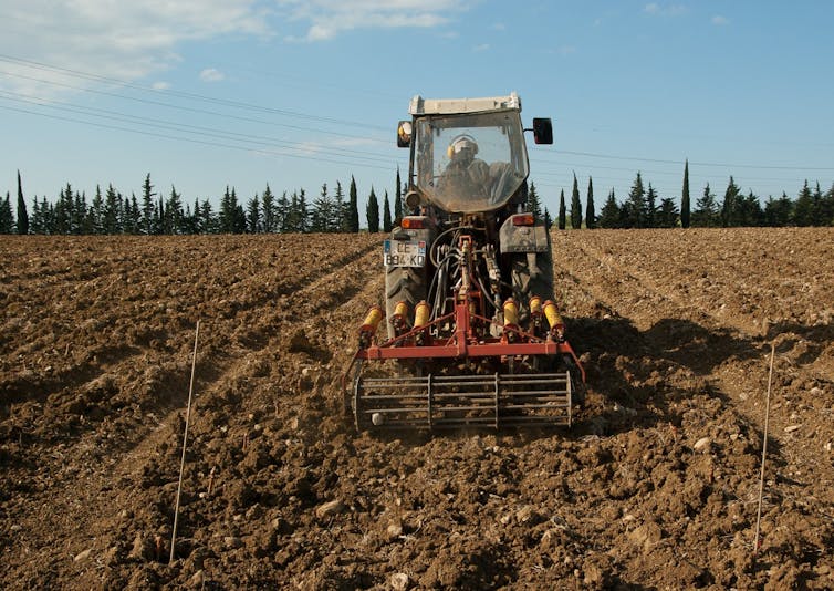 Een boer ploegt een veld met wijnstokken
