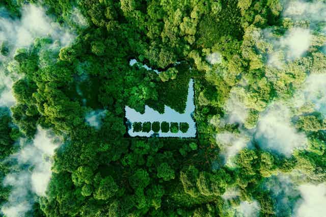 Aerial shot of a pond shaped like a factory in the middle of a lush forest.