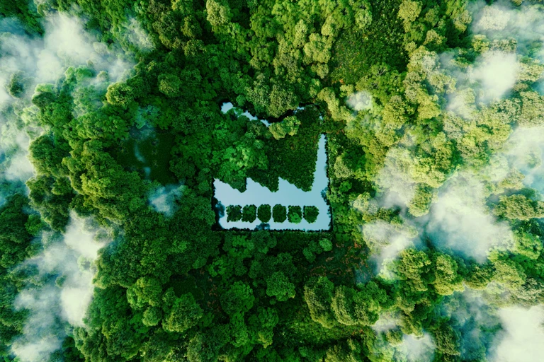 Aerial shot of a pond shaped like a factory in the middle of a lush forest.