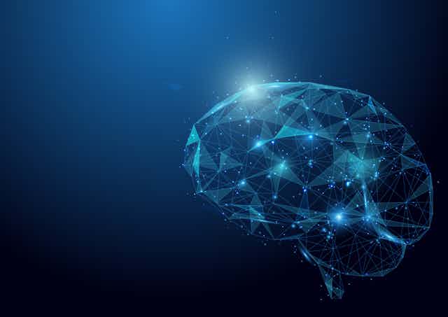 A wireframe human brain.