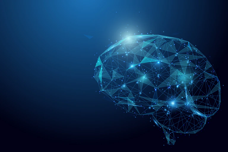 A wireframe human brain.