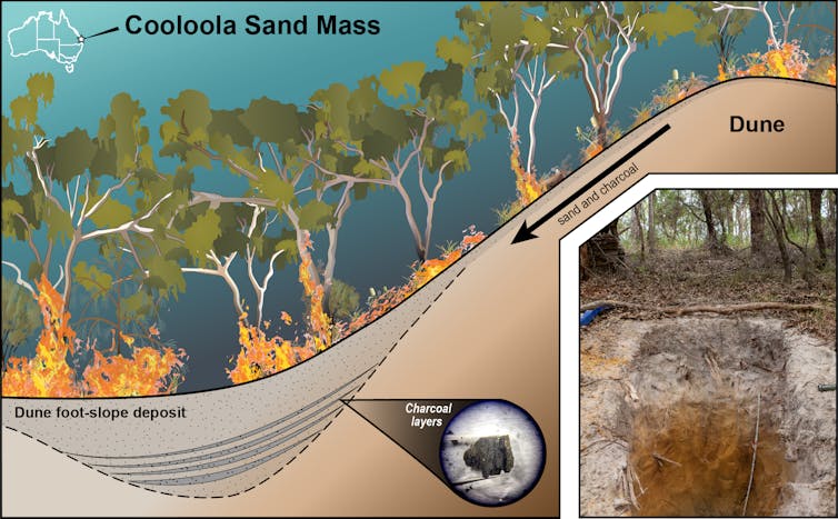 graphic showing deposition at the bottom of dune of layers of charcoal from fires