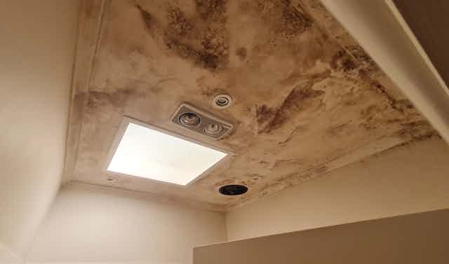 Photograph of a mouldy ceiling