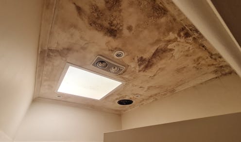 why rental properties are more likely to be mouldy and what's needed to stop people getting sick