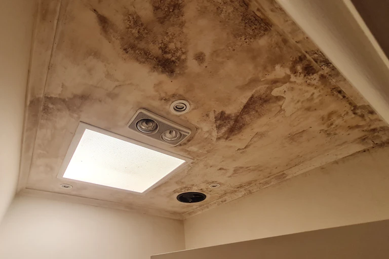 Photograph of a mouldy ceiling