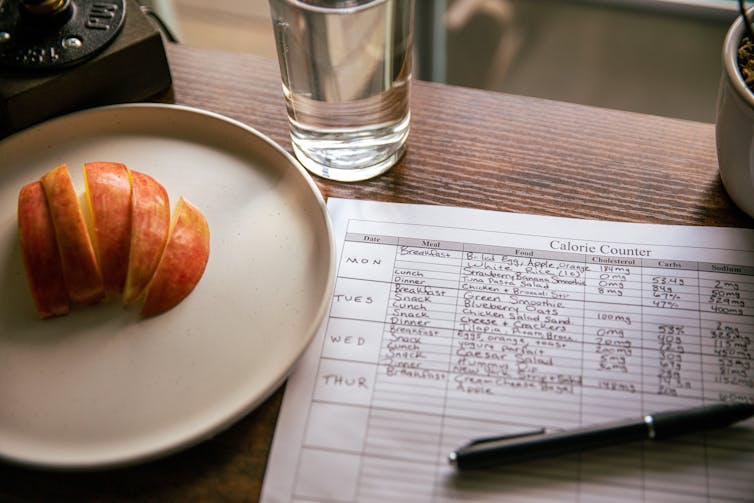 apple slices on an plate next to list of foods eaten and calories