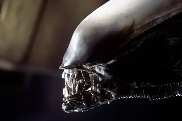 A silvery grey alien-like creature with enormous silvery teeth.