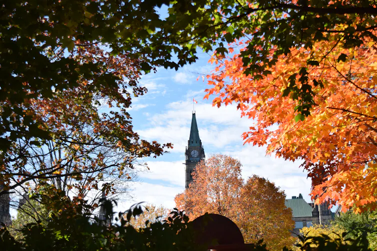 A clock tower peeking through autumn foliage.