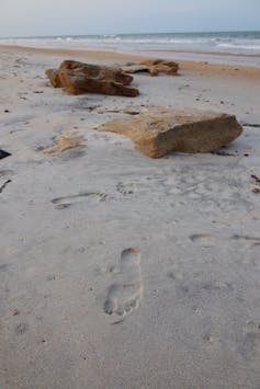 Footprints in the sand at a beach