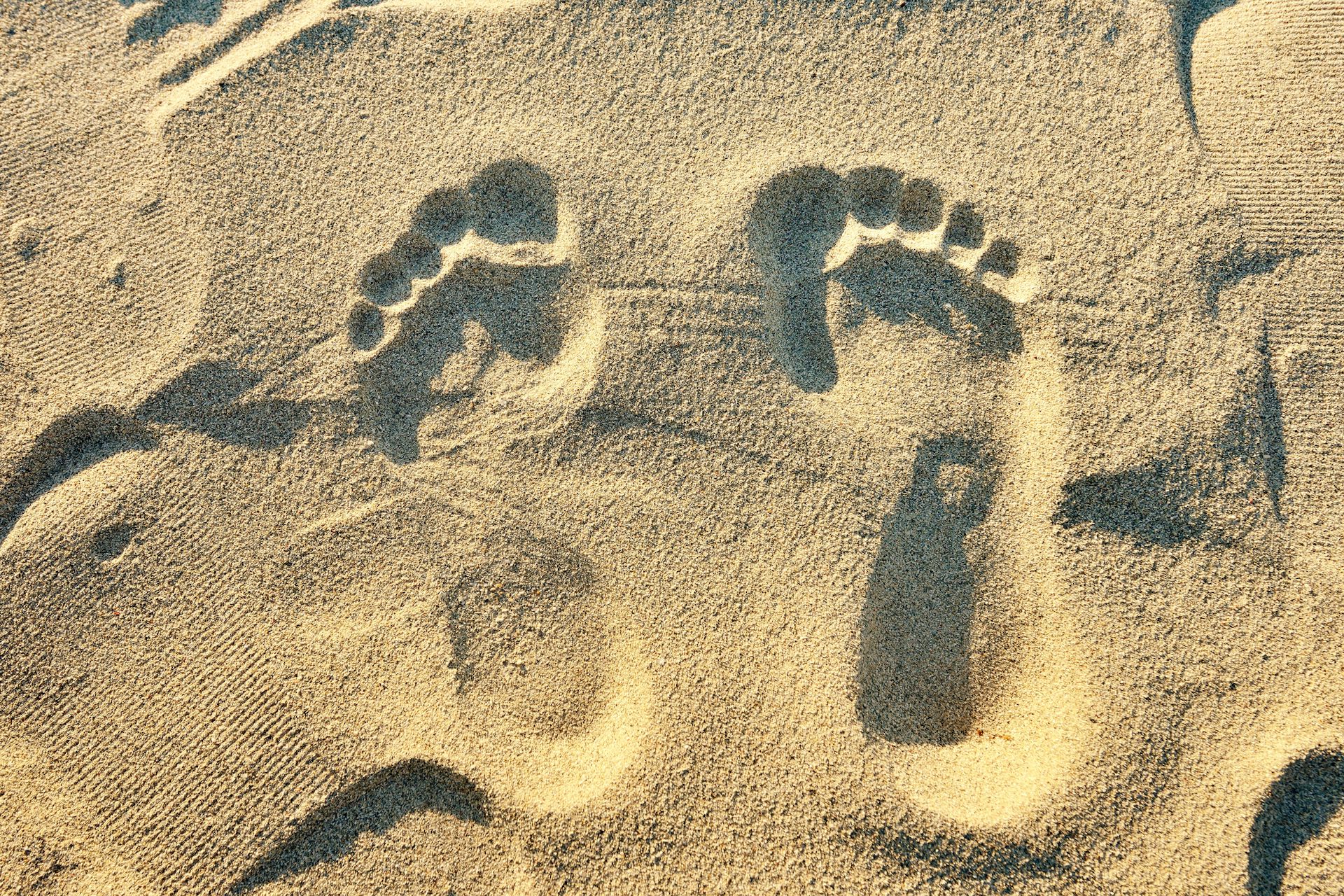 A casual stroll on the beach can leave enough intact DNA behind to extract identifiable information.