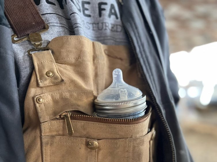 A baby's bottle sticks out the front pocket of bib overalls.