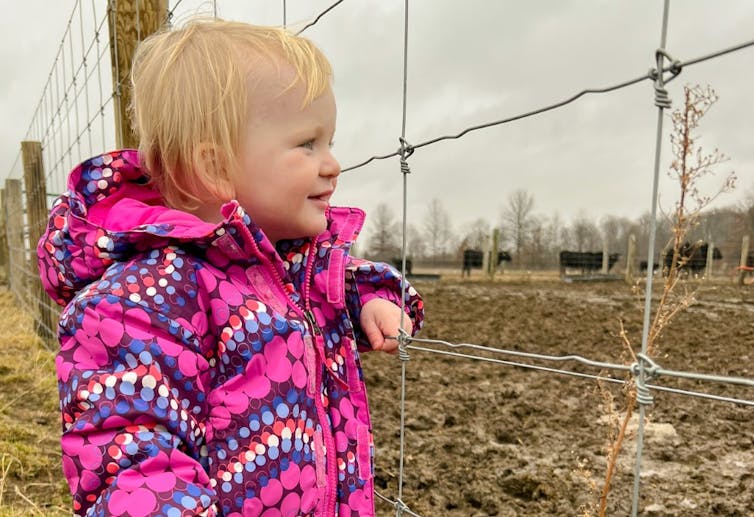 Una niña sonriente con un abrigo rosa brillante mira a través de los alambres de una cerca al ganado que se encuentra más allá.