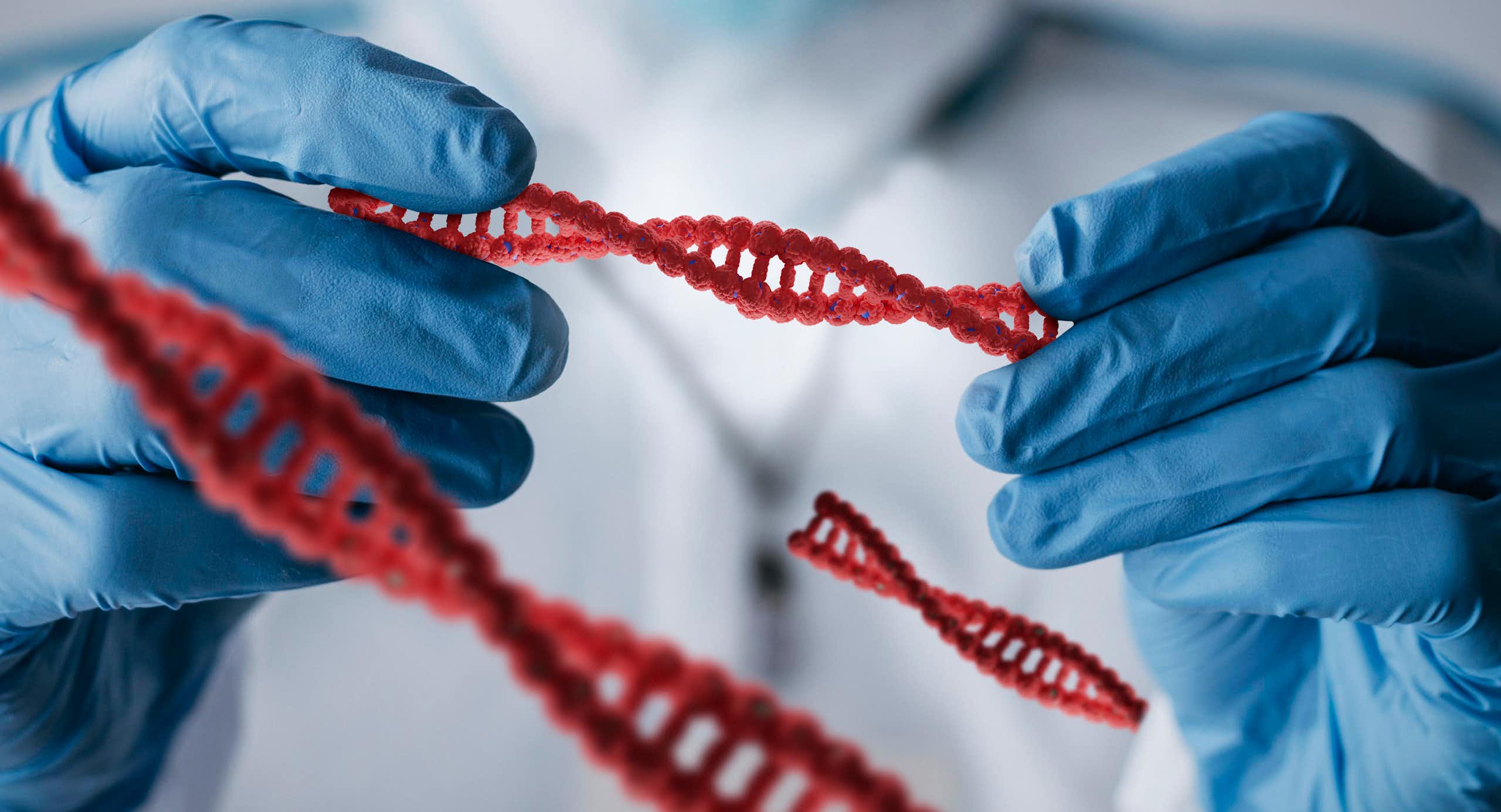 Rekayasa genetik dengan mengubah DNA: bagaimana manfaat, etika, dan keamanannya?