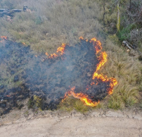 Before the colonists came, we burned small and burned often to avoid big fires. It's time to relearn cultural burning