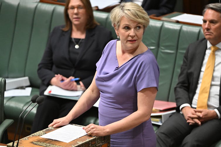 woman in mauve dress stands at lectern