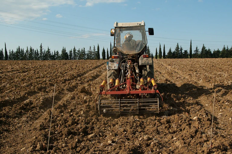 Tracteur qui laboure un champ de vignes.