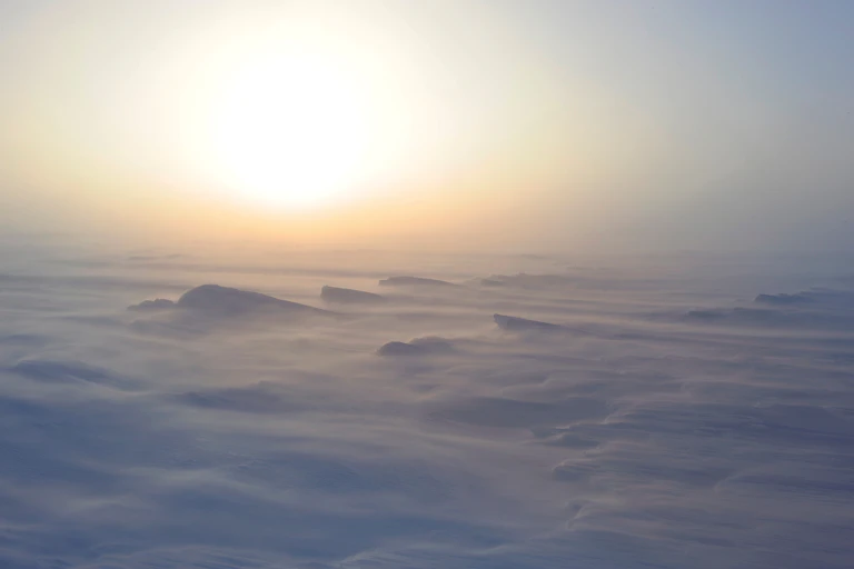 blizzard