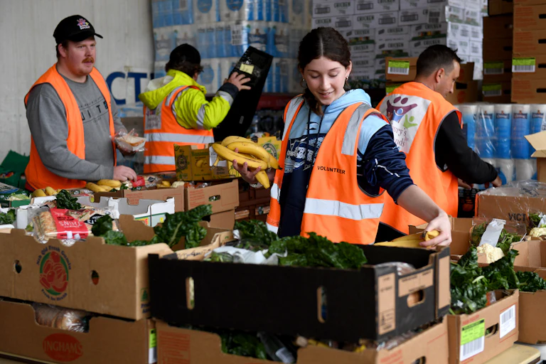Volunteers pack boxes of food