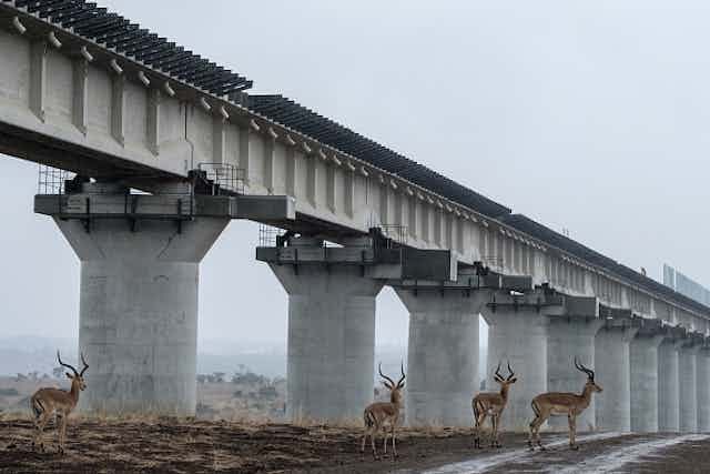 An artist's impression of concrete pillars holding up an elevated railway line while four gazelle stand below it